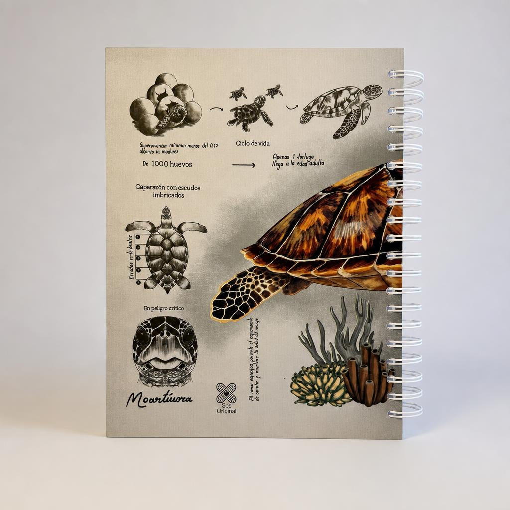 Cuaderno Tortuga Carey