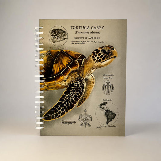Cuaderno Tortuga Carey
