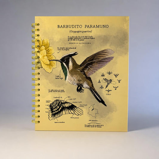 Cuaderno Barbudito Paramuno