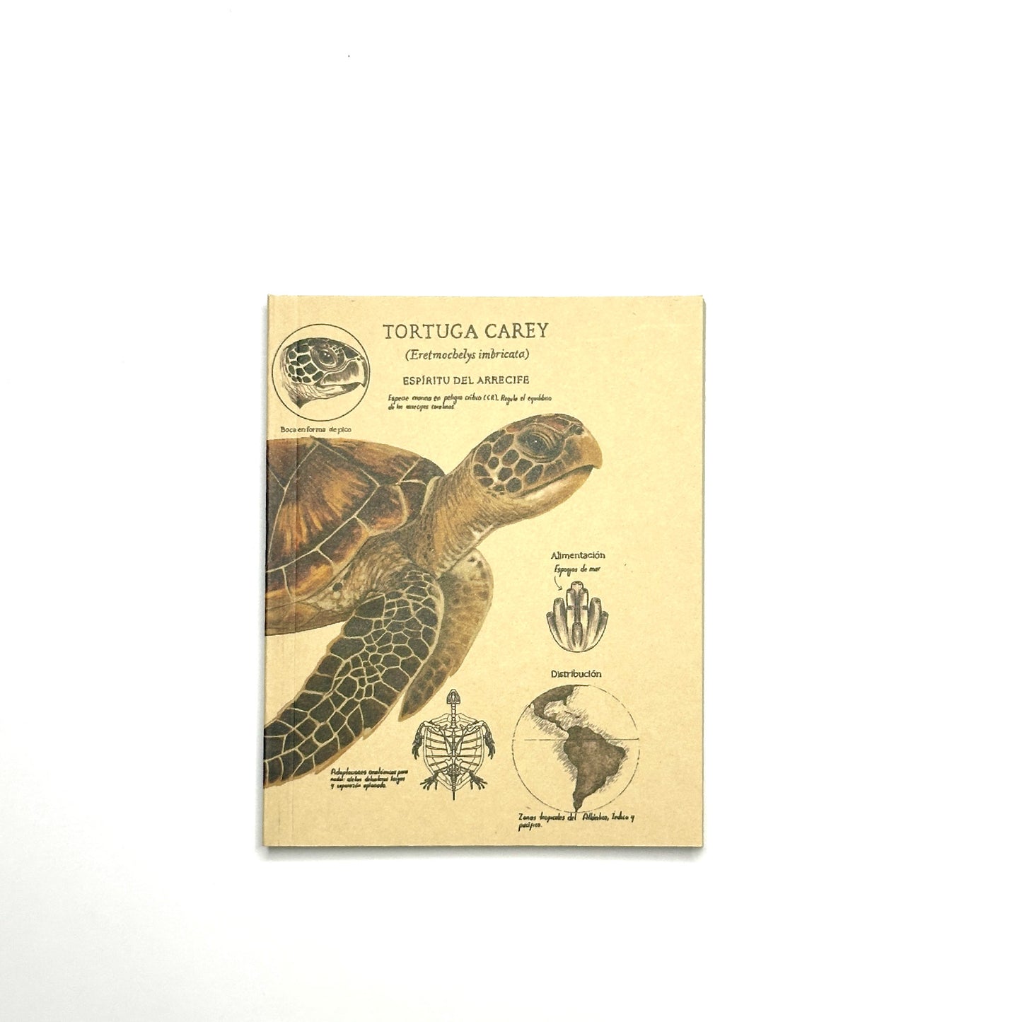 Libreta de bolsillo Tortuga Carey