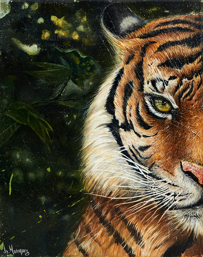 Captive TIGER