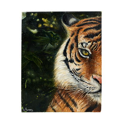 Captive TIGER