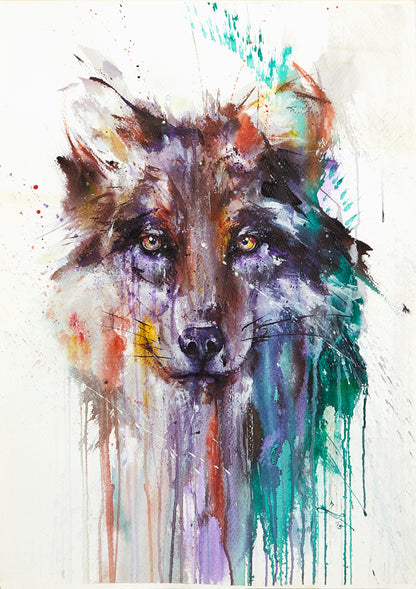 Wolf glare